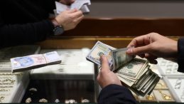 19 Mart Yerli Yatırımcıları Dövize Yönlendirdi: Beş Haftada 17 Milyar Dolarlık Artış!