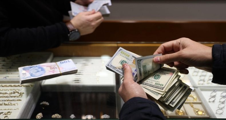 19 Mart Yerli Yatırımcıları Dövize Yönlendirdi: Beş Haftada 17 Milyar Dolarlık Artış!