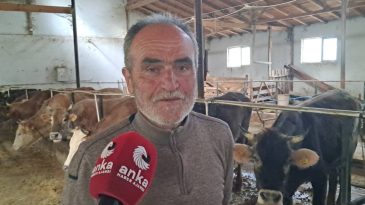 Artvinli Hayvan Üreticisi: Kurbanlıklar Varlığa Rağmen Alıcı Yok