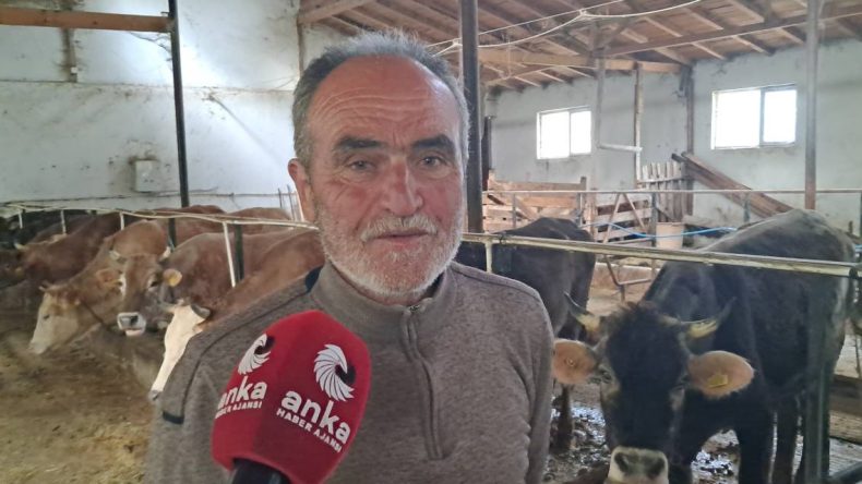 Artvinli Hayvan Üreticisi: Kurbanlıklar Varlığa Rağmen Alıcı Yok