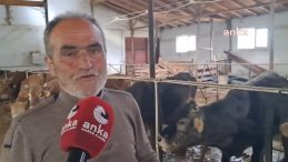 Artvinli Üretici: Kurbanlıklar Var Ama Alıcı Yok