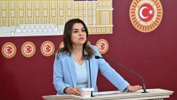 DEM Partili Koçyiğit’ten Terör Örgütü Lideri Üzerine Açıklama: “Talebimiz Öcalan’ın Fiziki Özgürlüğüdür”