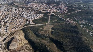Dikmece betona teslim: Zeytinliklerden mezarlığa bir köy nasıl yok edildi?