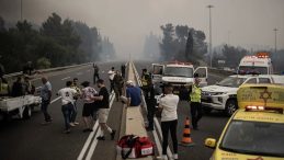 İsrail’de Felaket Alarmı: Tarihin En Büyük Orman Yangınıyla Mücadele