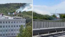 İstanbul’da Orman Yangını: ‘Sigara İzmaritinden Çıkmış Olabilir’
