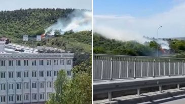 İstanbul’da Orman Yangını: ‘Sigara İzmaritinden Çıkmış Olabilir’