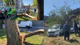 İstanbul’da Şiddetli Rüzgar Ağaçları Deviriyor