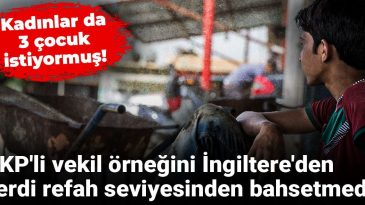 Kadınlar da 3 çocuk istiyormuş! AKP’li vekil örneğini İngiltere’den verdi, refah seviyesinden bahsetmedi