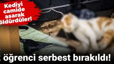 Kediyi camide asarak öldürdüler! 2 öğrenci serbest bırakıldı