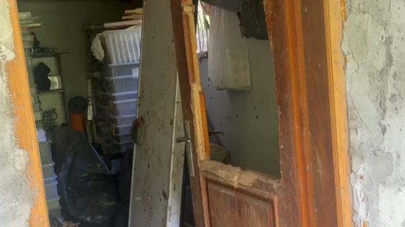 Kış Uykusundan Uyanıp Evleri Saldırdılar