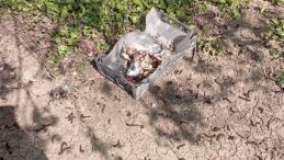 Köpeklere Hain Tuzak: 8’i Hayatını Kaybetti