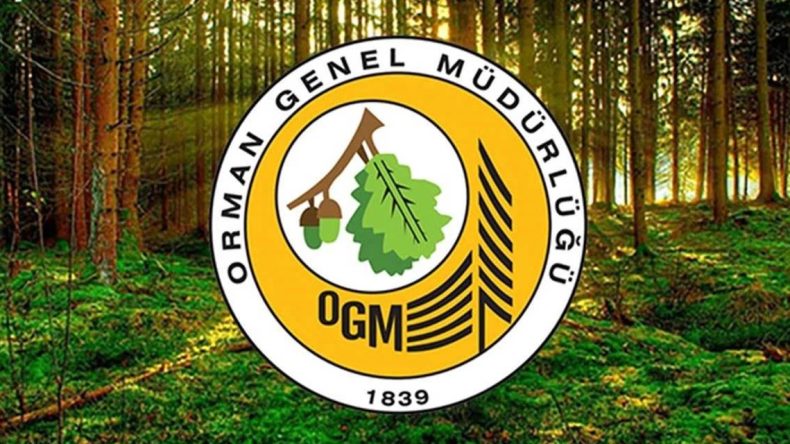 Orman Genel Müdürlüğü’nden Yeni Personel Alımı Duyurusu