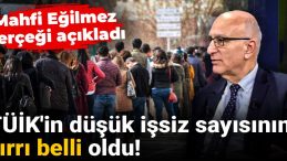 TÜİK’in Düşük İşsiz Sayısının Sırrı Açıklandı! Mahfi Eğilmez’den Dikkat Çeken Açıklama