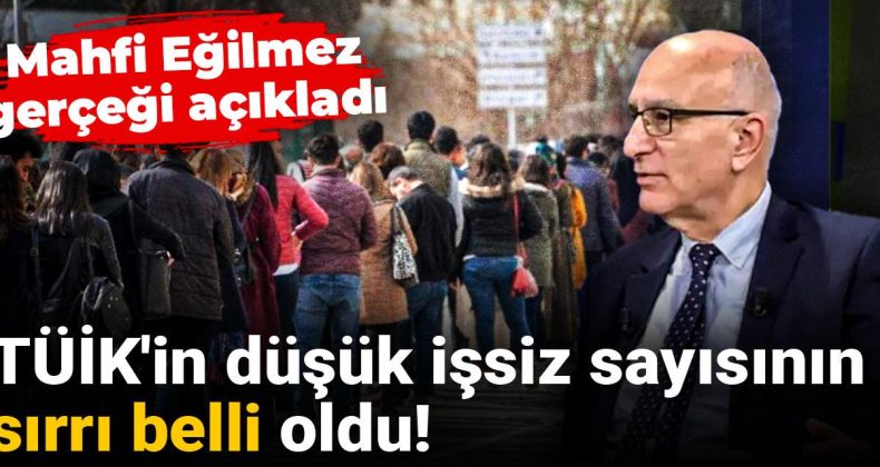TÜİK’in Düşük İşsiz Sayısının Sırrı Açıklandı! Mahfi Eğilmez’den Dikkat Çeken Açıklama