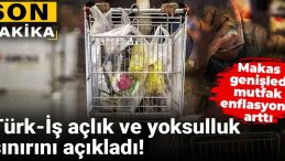 Türk-İş Açlık ve Yoksulluk Sınırlarını Duyurdu! Fark Açıldı, Mutfaktaki Enflasyon Yükseldi