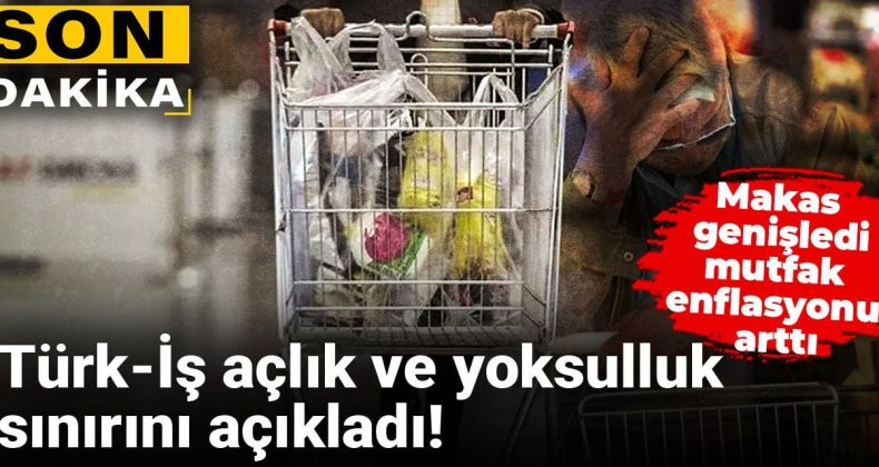 Türk-İş Açlık ve Yoksulluk Sınırlarını Duyurdu! Fark Açıldı, Mutfaktaki Enflasyon Yükseldi