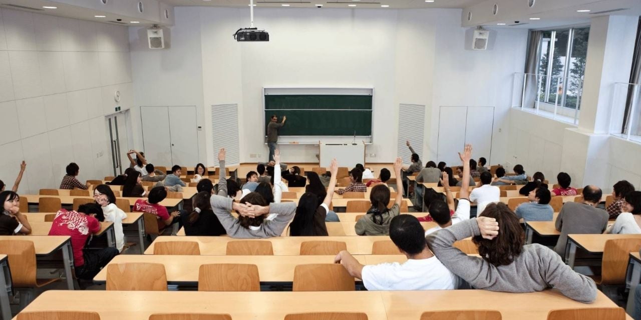 Yeşil Ekonomi Programları