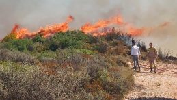 Yunanistan’ın Zakinthos Adası’nda Orman Yangını Başladı