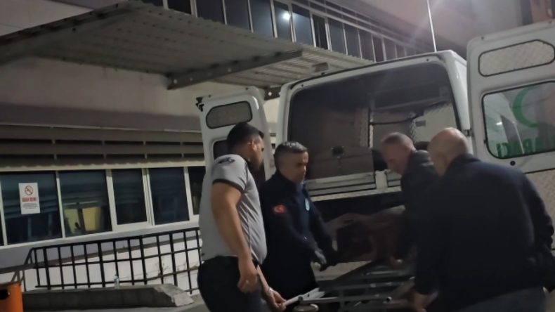 12 Gündür Kayıptı, Ormanda Ölü Bulundu