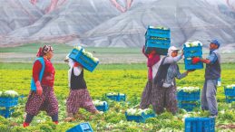 24 Yıldır Çiftçilerin Yüzü Gülmüyor