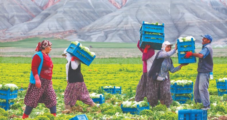 24 Yıldır Çiftçilerin Yüzü Gülmüyor