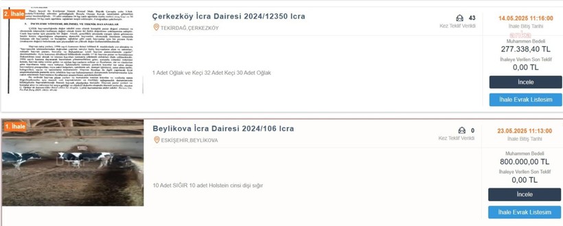Hayvanlar icra yoluyla satılıyor