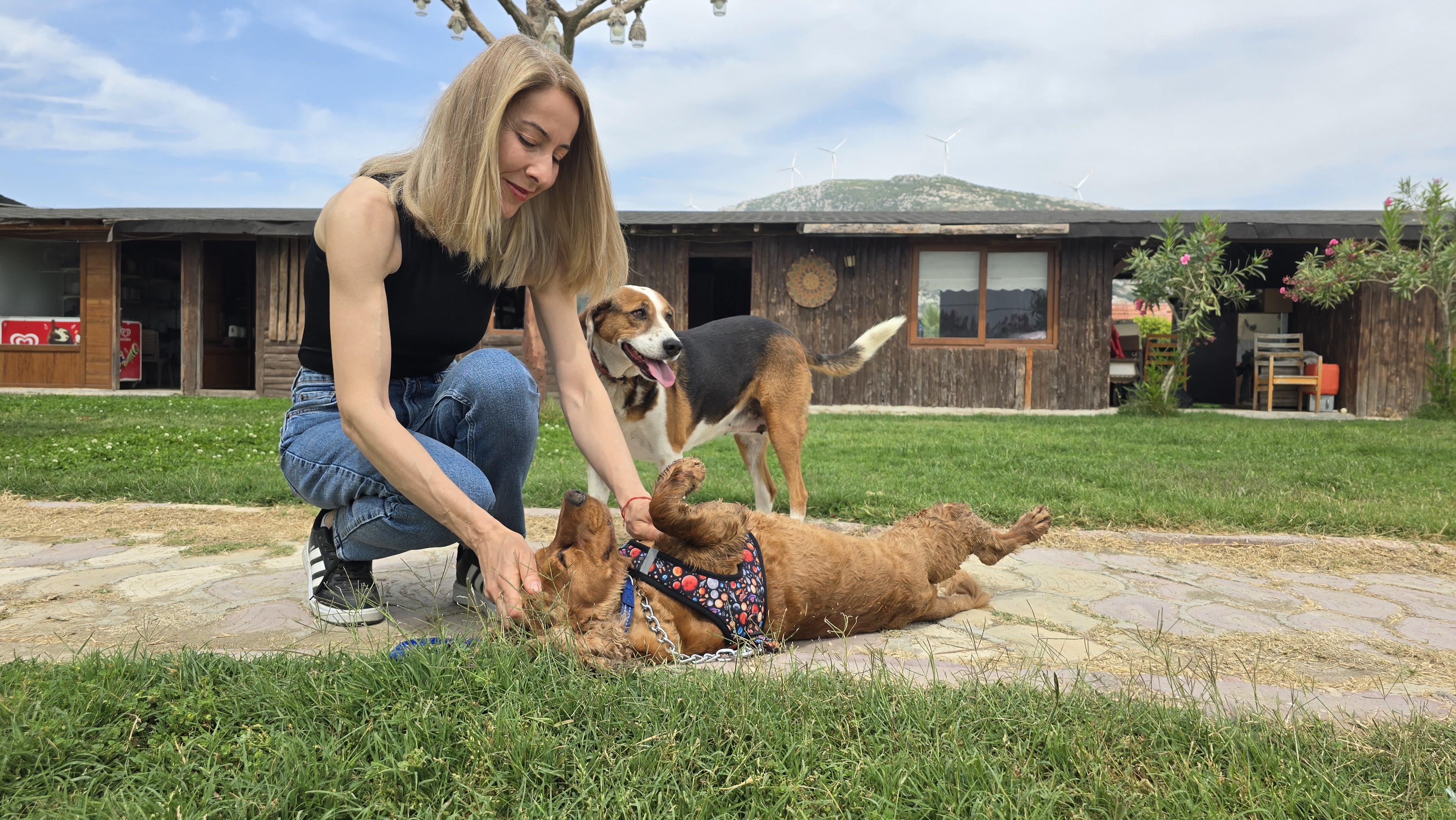 Köpek Çilek
