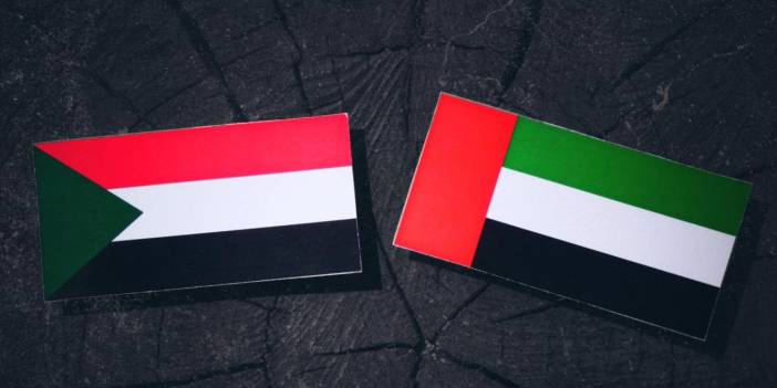 BAE Sudan'ın kararını tanımadı