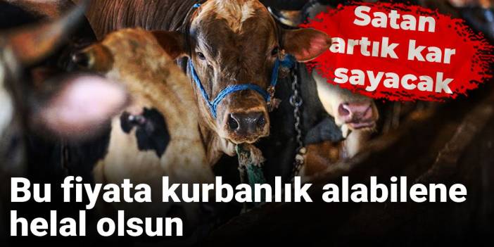 Kurbandan Alınabilecek Fiyatlar