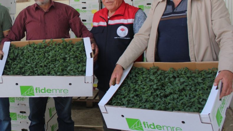 49 Bin Tane Dağıtıldı: Kasa Kasa Aldılar