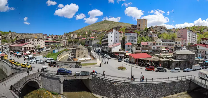 Festival Afişi
