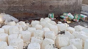 7 Ton Bayat Süt Ürünü Ele Geçirildi: Sofralara Ulaşmadan İmha Edildi