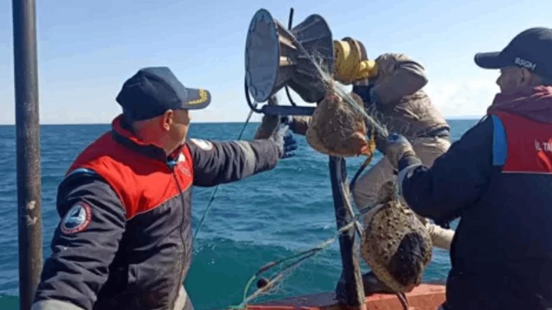 Acımadan 44 kilometre ağı attılar: Vay vicdansızlar!