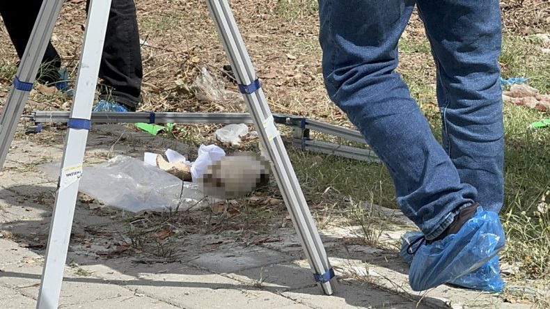 Adana’da Çöp Konteynerinde Kafatası Bulundu