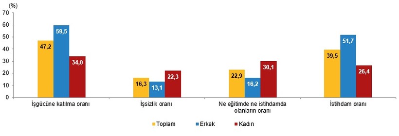 Kurumsal olmayan genç nüfusun işgücü durumu, 2024