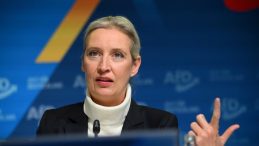 Alman İstihbaratı: AfD ‘Aşırılık Yanlısı Örgüt’