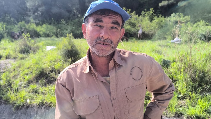 Kurbanlık hayvanlar
