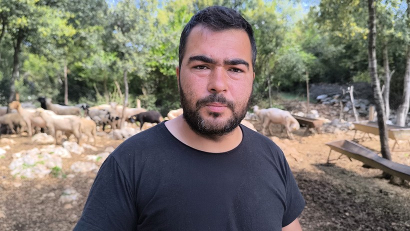 Kurbanlık hayvanlar