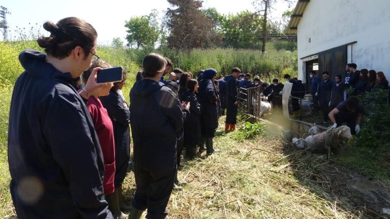 Anadolu’nun 800 Yıllık Geleneği Yaşatılıyor