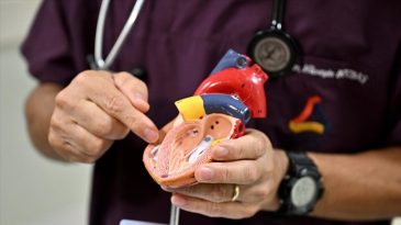 Anjiyo Sürecinde Dolandırıcılık Vakası: Sanık Tahliye Edildi