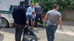 Annesini Katleden Cani Evlat Tutuklandı