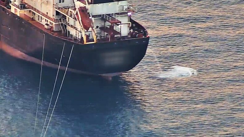 Antalya’da ‘Sintine’ Alarmı: Kirlilik 3 Kat Arttı