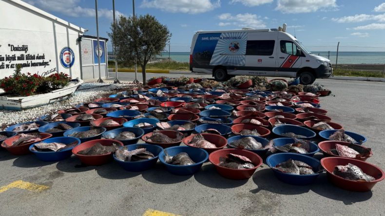 Arnavutköy’de 900 Kalkan Balığına El Konuldu