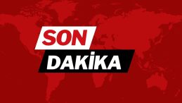 AYM, Sokak Hayvanları Yasası Üzerine Kararını Duyurdu