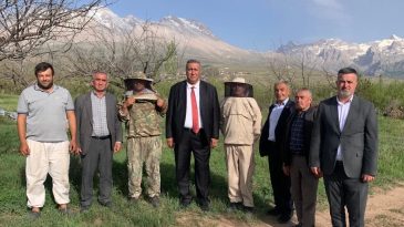 Balın Tadında Sorunlar!