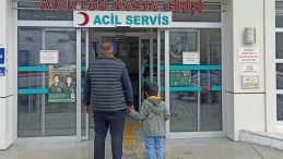 Başıboş Köpeklerin Saldırısına Uğrayan Çocuk Yaralandı
