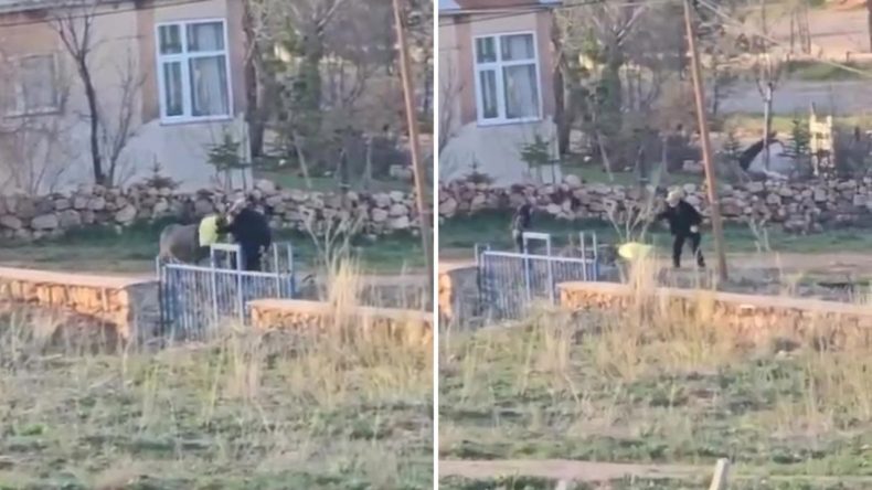 Başına çuval geçirip eşeği döverek öldürdü