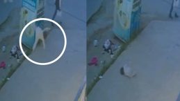 Beşinci Kattan Düşen 1 Yaşındaki Bebek Ağır Yaralandı