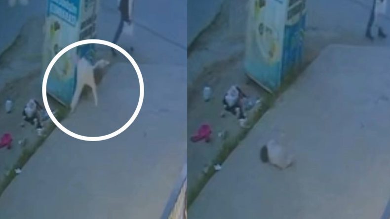 Beşinci Kattan Düşen 1 Yaşındaki Bebek Ağır Yaralandı