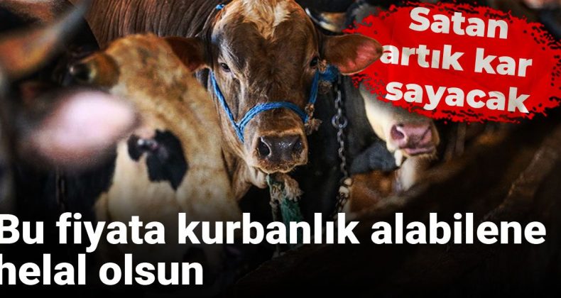 Bu Fiyata Kurbanlık Alabilene Helal Olsun: Satan Artık Kar Sayacak